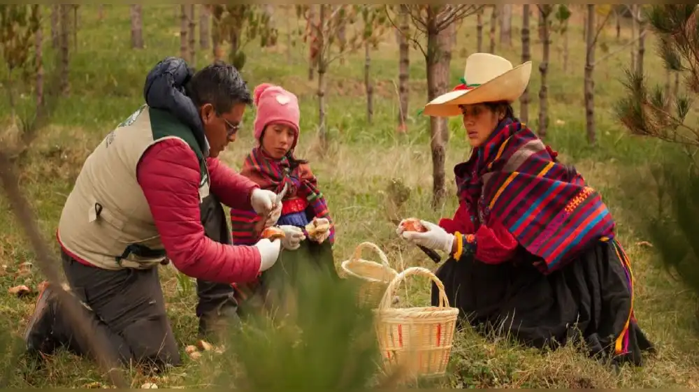 Continúa la postulación al premio PERUMIN Inspira