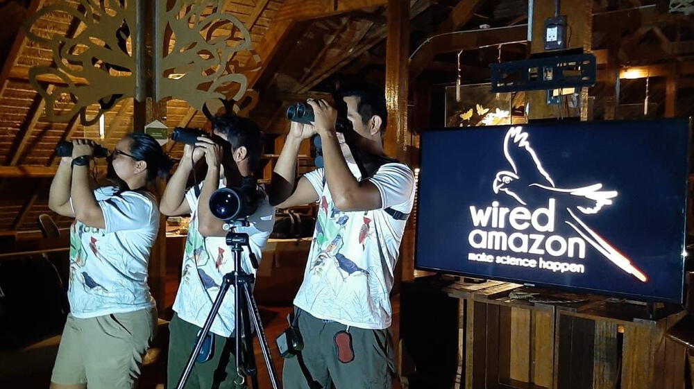 Perú se posiciona como destino líder de aviturismo