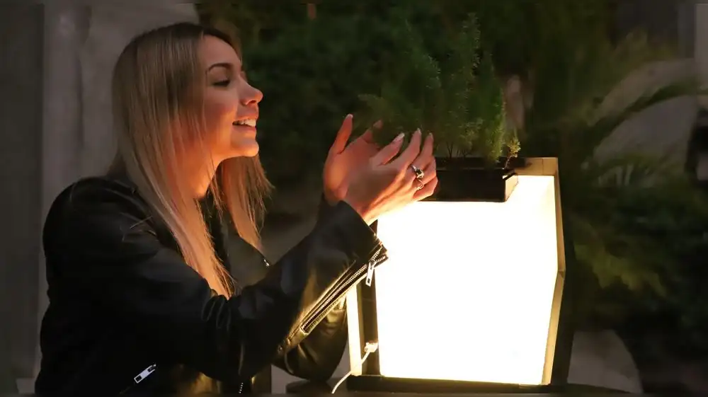 Alinti: el primer biocargador de energía eléctrica limpia a base de plantas