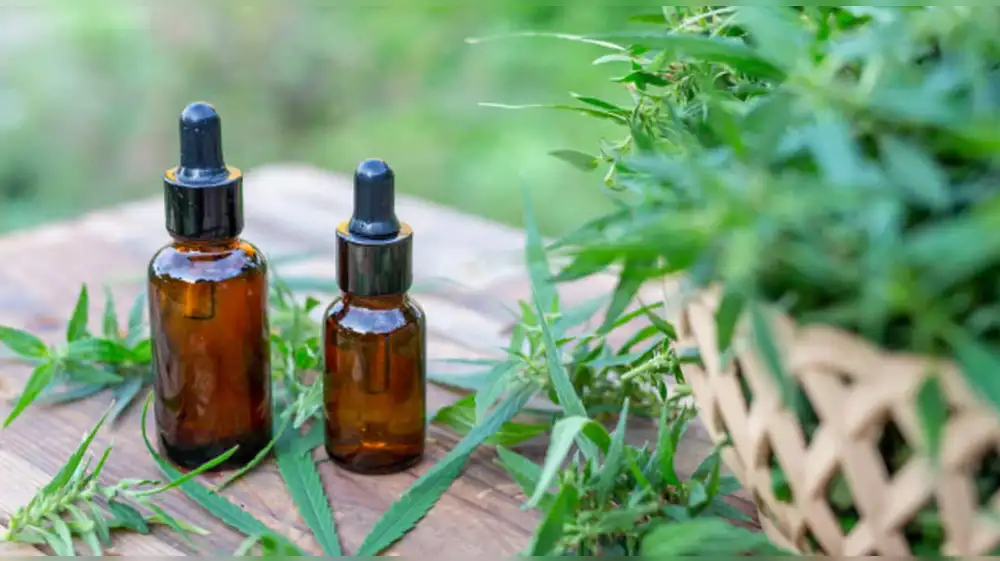 Cannabis medicinal: ¿Dónde encontrar el mejor precio?