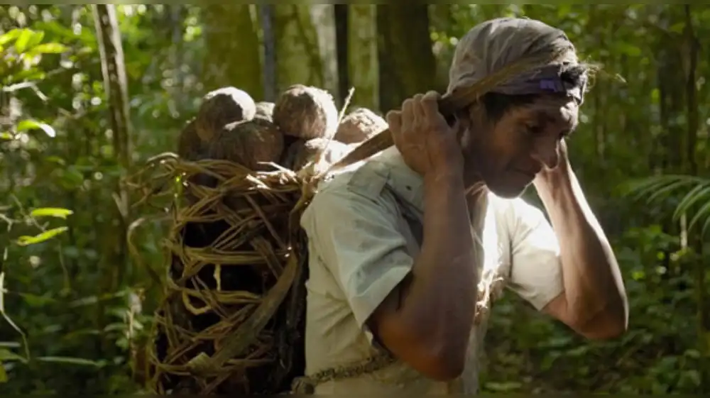 Cabify compensa más de 375.000 toneladas de CO2 a través proyectos como Madre de Dios