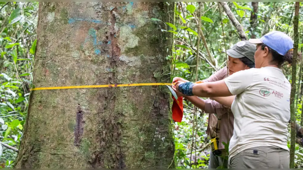 BBVA y la Fundación BBVA reciben premio de conservación Los Bóscares 2022