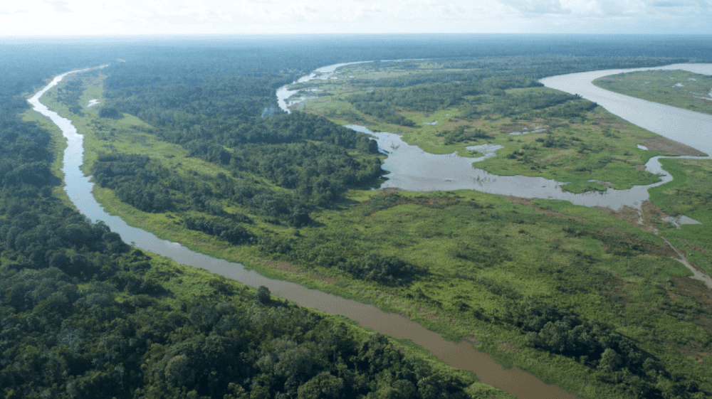 Ministerio del Ambiente lanza proyecto de manejo y restauración del bosque seco de la costa norte del Perú