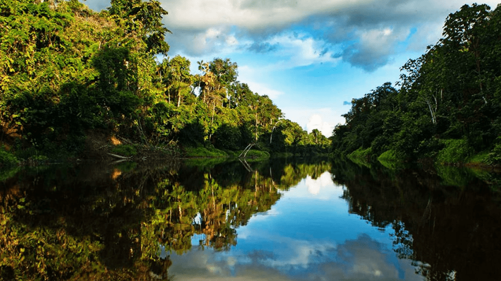 Reserva Machiguenga y el Santuario Megantoni ingresaron a la Lista Verde de la UICN