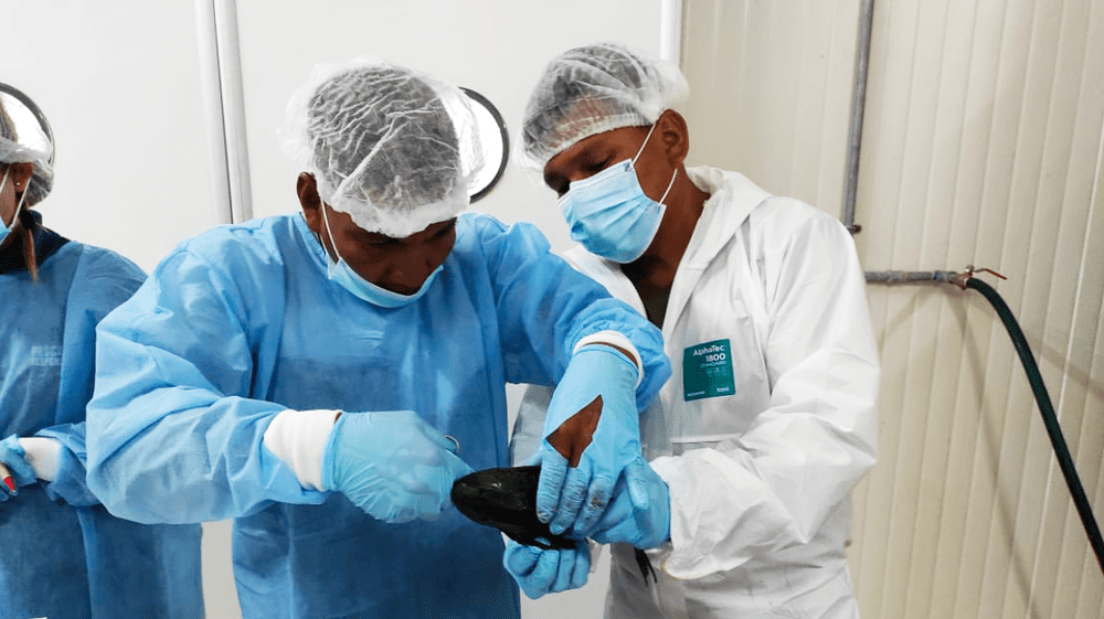 Loreto: PetroTal promueve proyectos de innovación pesquera en Puinahua