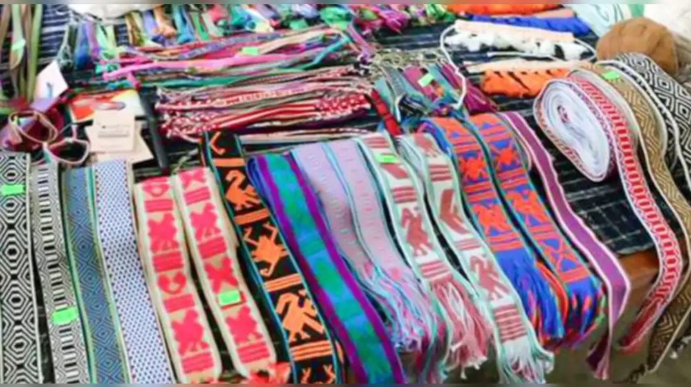 Emprendimientos sostenibles para enfrentar la crisis climática