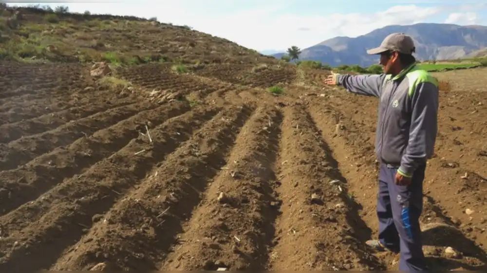 Southern Perú apoya rehabilitación de terrenos agricolas