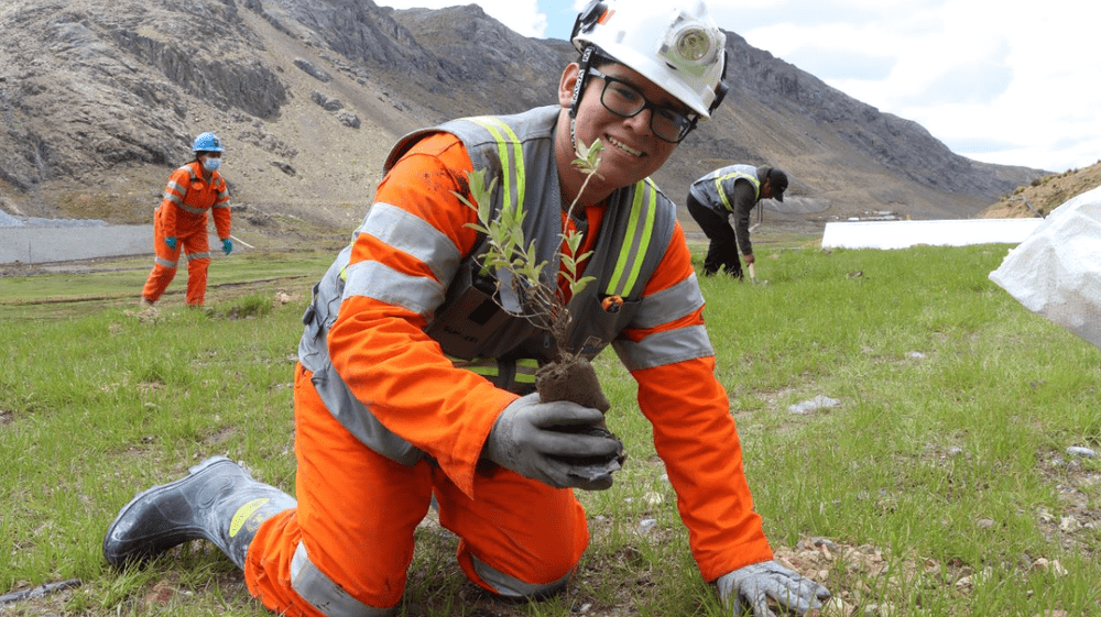 Siembra de plantas en minas chinas que están en periodo de cierre