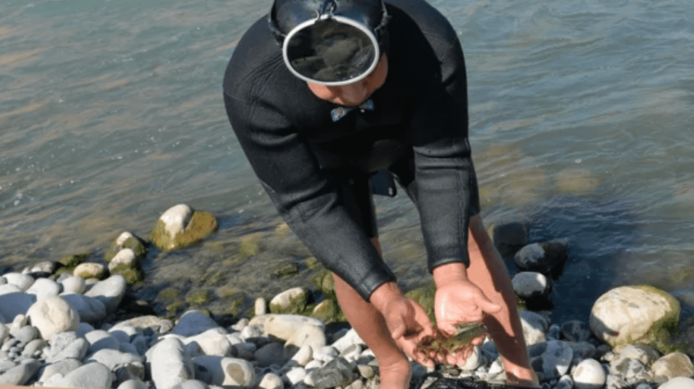 Por quinto año consecutivo, instituciones trabajaron juntas para proteger al camarón del río Majes