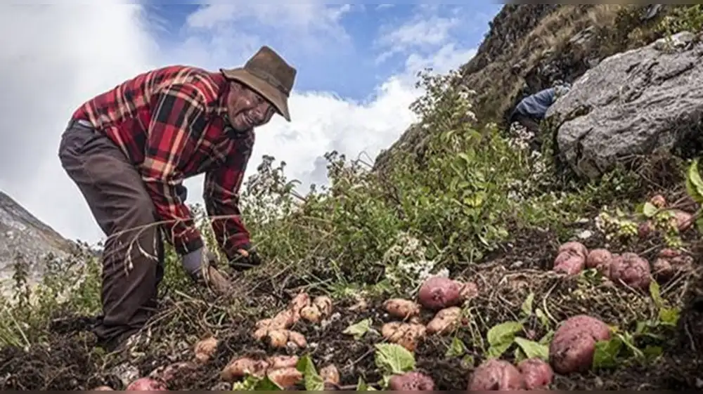 Día del Campesino: tecnificación del riego y su impacto en Áncash.