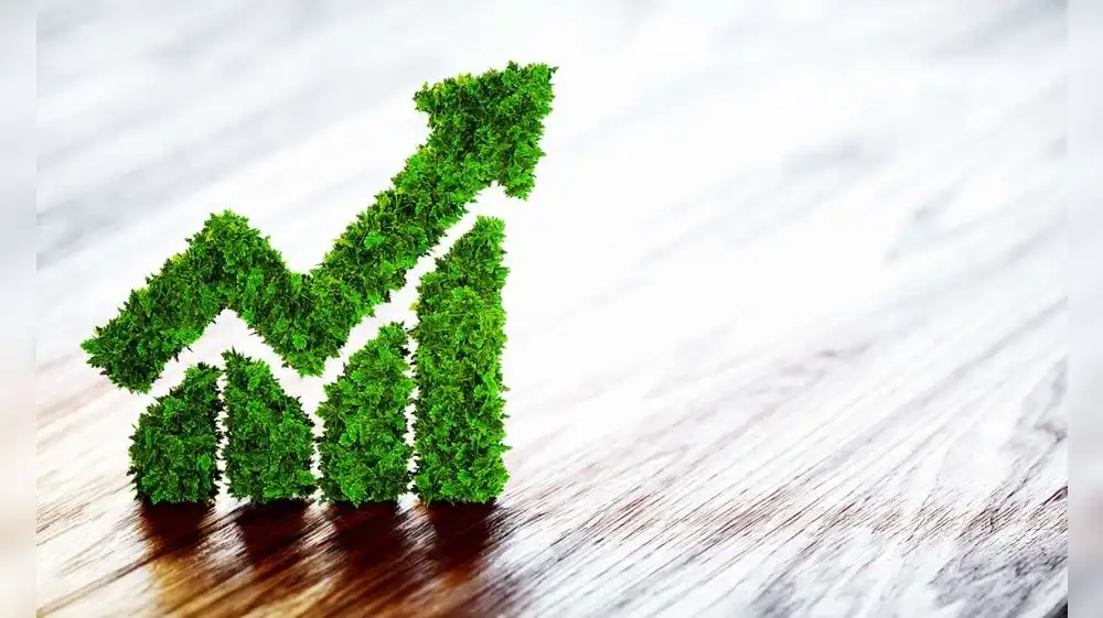 Cómo tener una empresa sostenible y productiva