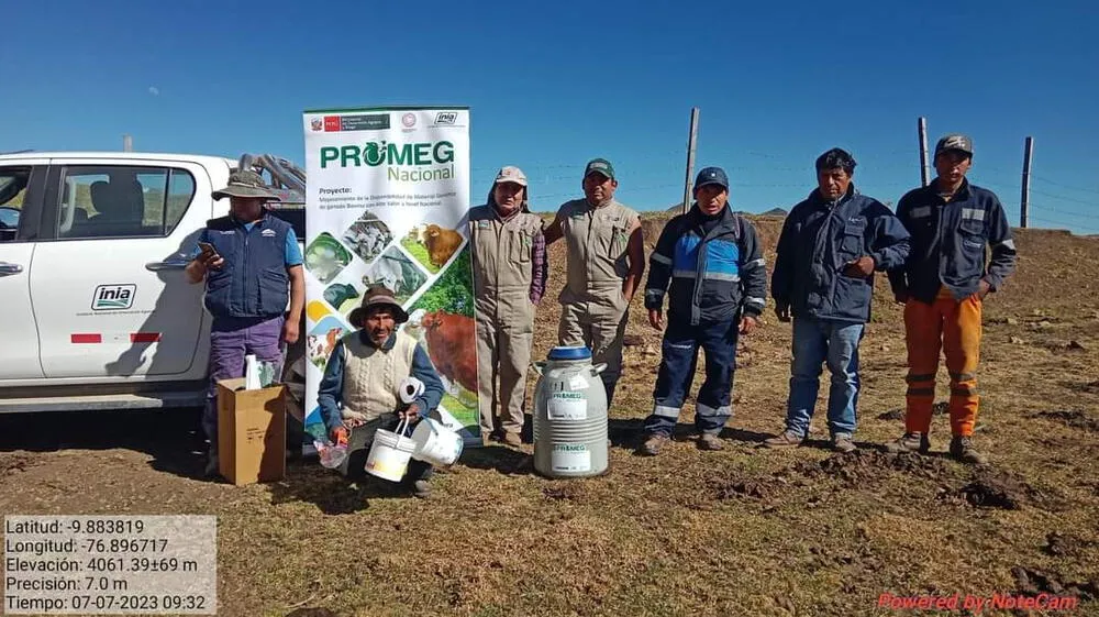 "Mejora genética y producción láctea revolucionan Ancash".