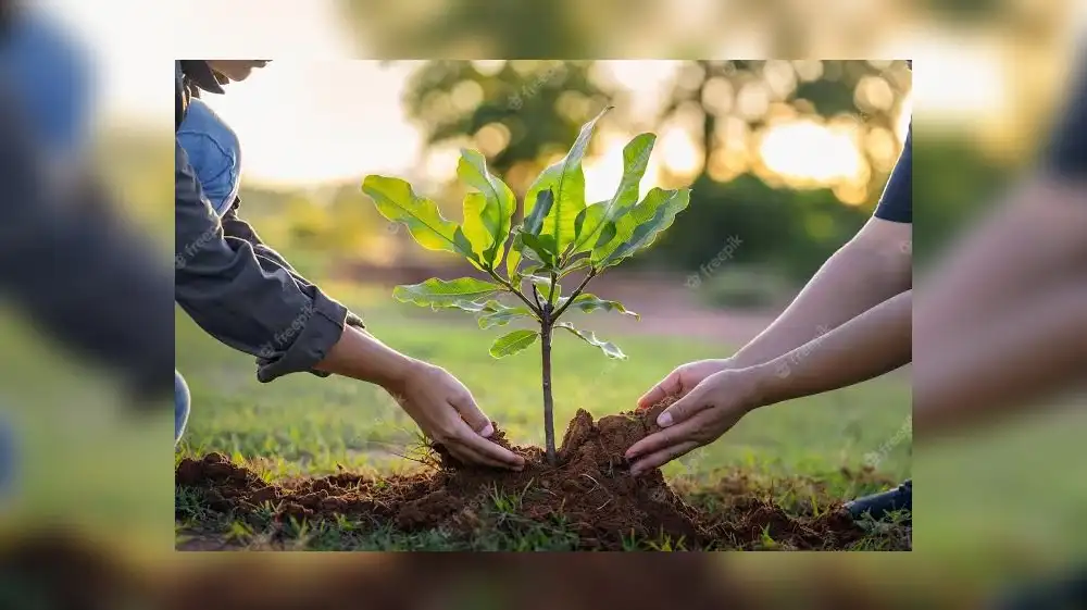 Comunidad, gobierno y empresa plantan árboles en Villa El Salvador.