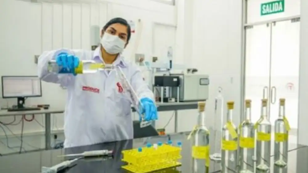 CITEagroindustrial Majes impulsa desarrollo e innovación sostenible en Perú