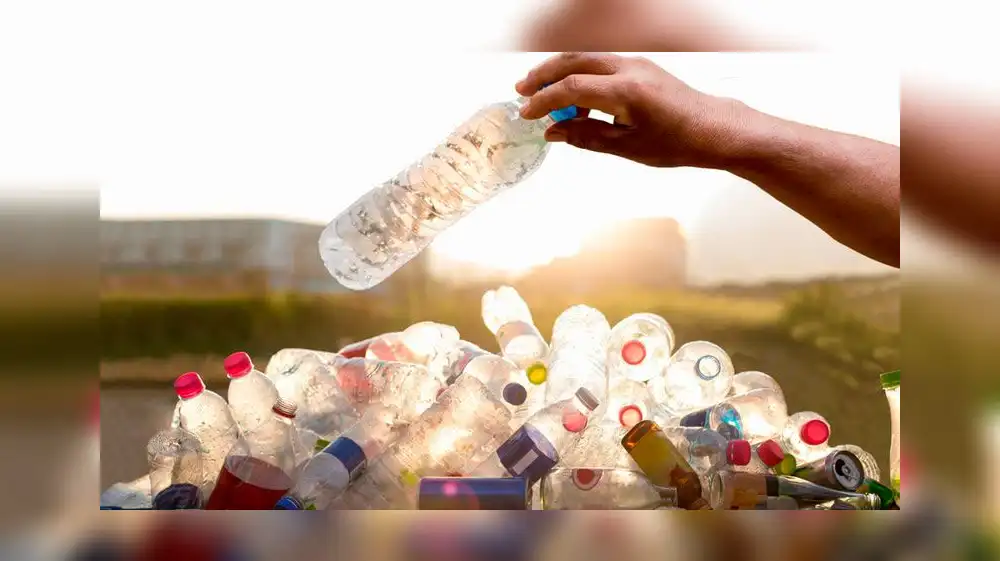 Cómo disminuir el uso de bolsas plásticas en la vida cotidiana