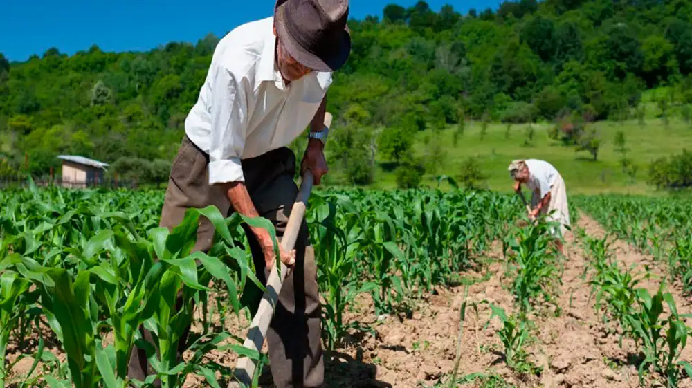 Produce invertirá S/500,000 en proyectos vanguardistas que ayuden a enfrentar el cambio climático