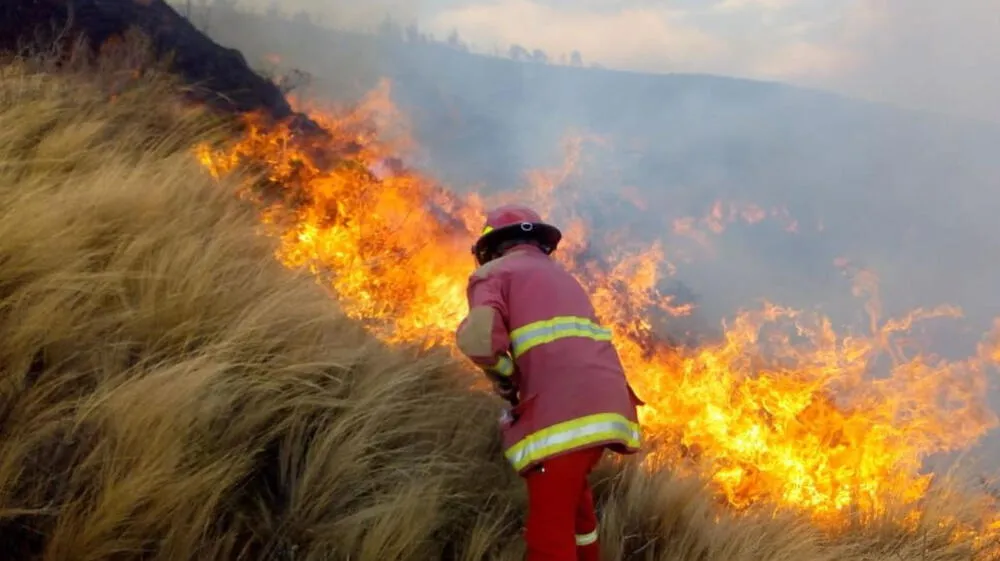 Perú registró 1078 incendios forestales en el 2023