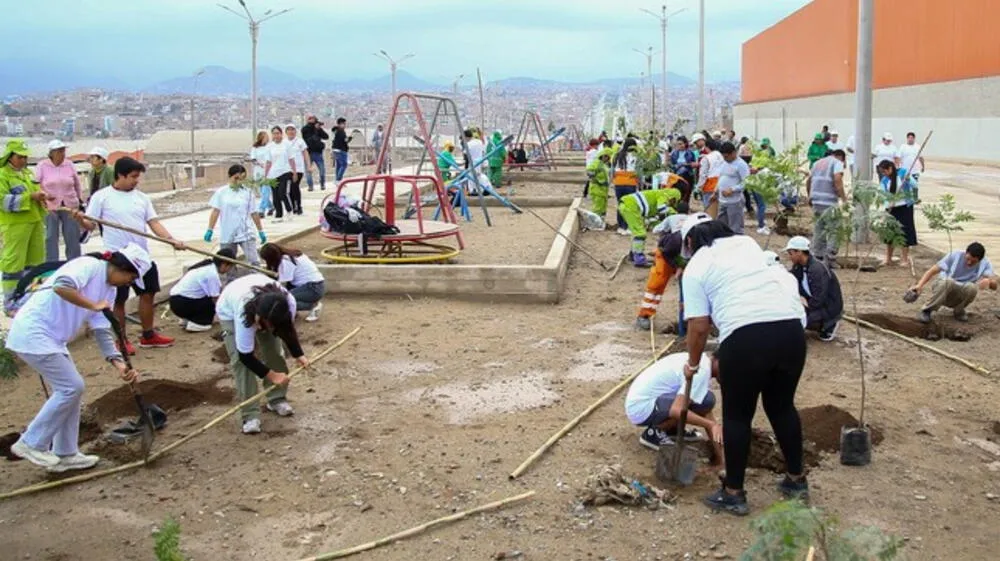 Segunda Gran Cruzada Verde proyecta plantar un millón de árboles