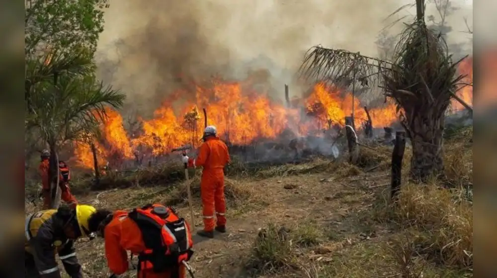 Bolivia registra incendios forestales en 4 de sus 9 regiones