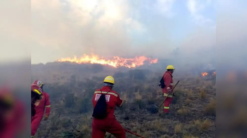 ONU: Incendios forestales aumentarán un 30% al 2050