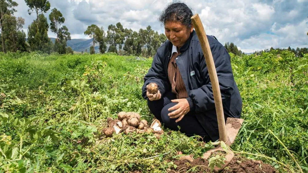 ¿Qué son las zonas de agrobiodiversidad en el Perú?