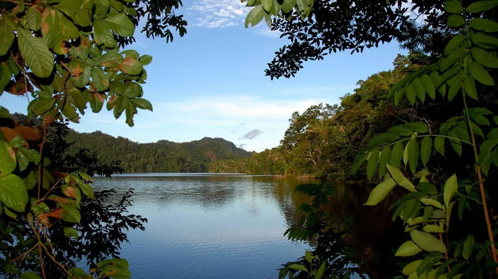 Invertirán $ 19.7 millones en la conservación de bosques tropicales