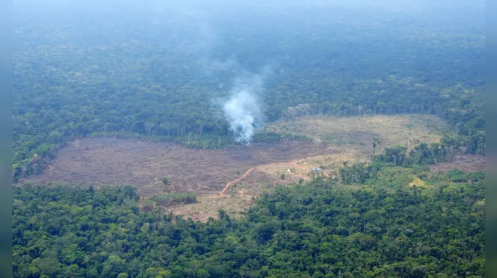 El 25% de ecosistemas de Colombia en estado crítico