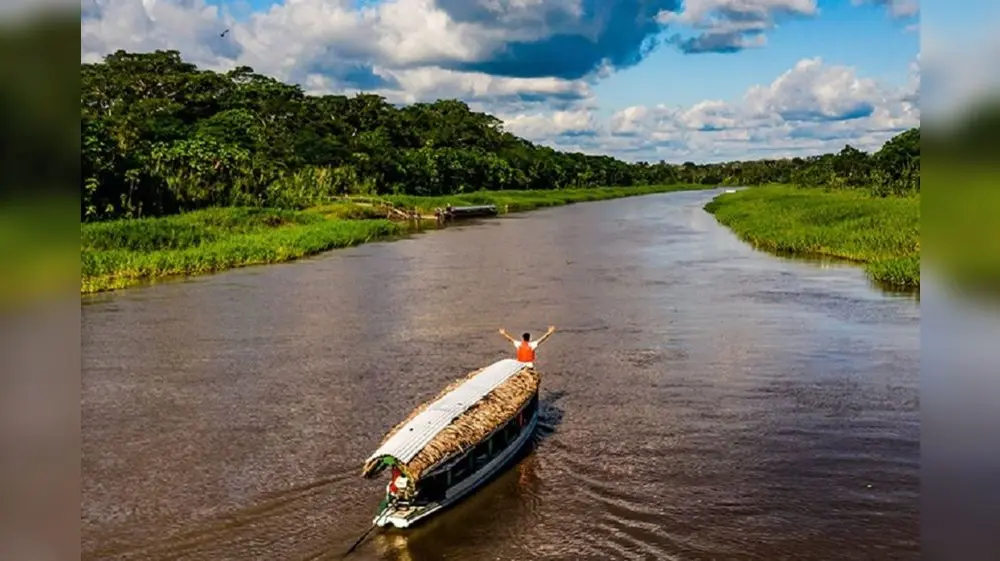 Expertos se reúnen por estrategias para recuperar la Amazonía