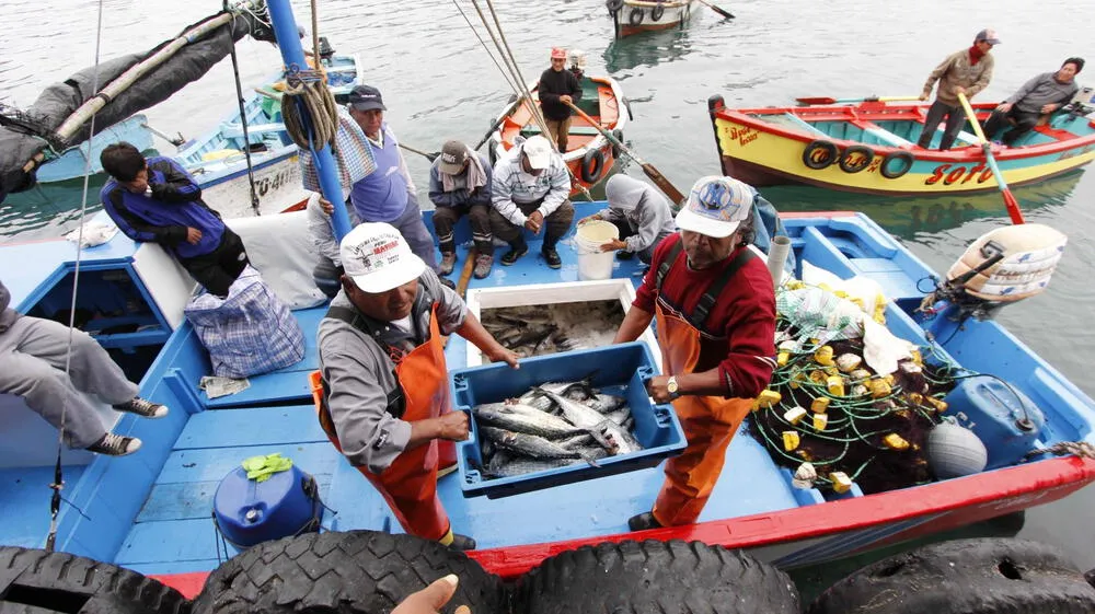 Expertos de la región se reúnen por sostenibilidad de la pesca