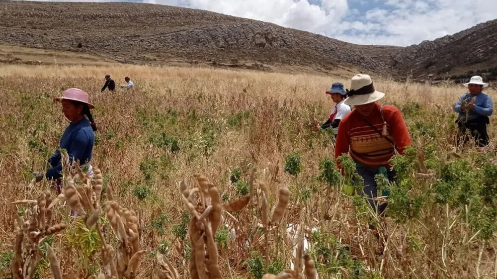 Bolivia sufre por la mayor sequía de los últimos años