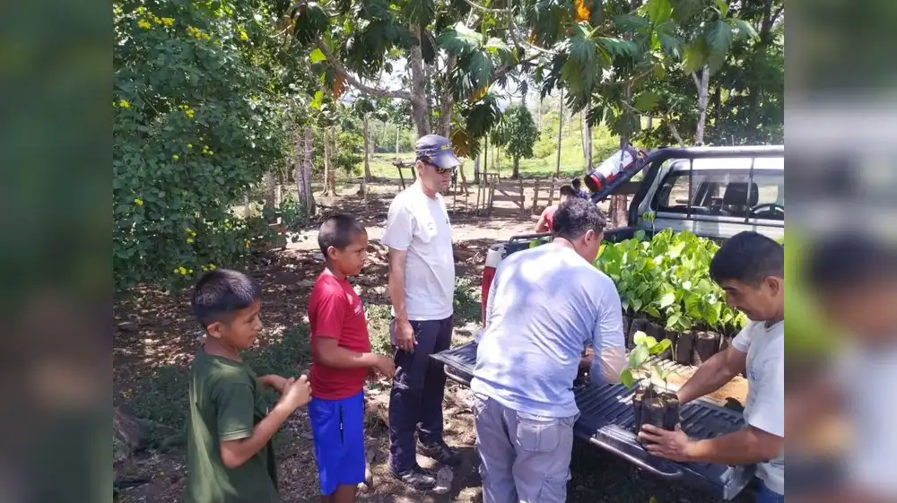 San Martín: Plantan 10,000 árboles en Parque Cordillera Azul