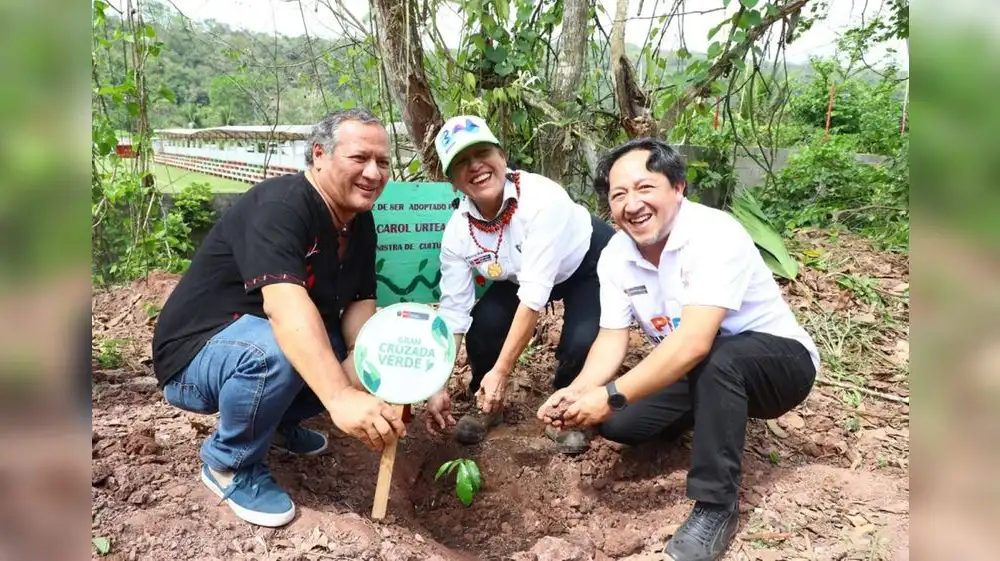 San Martín: Plantan 500 árboles en jornada de reforestación