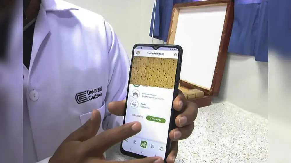 Aplicativo permite combatir comercio y tala ilegal de madera