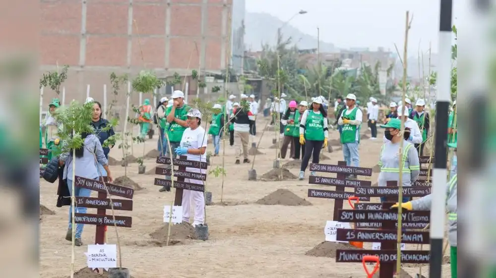 Más de 1 millón de árboles fueron sembrados en Gran Cruzada Verde