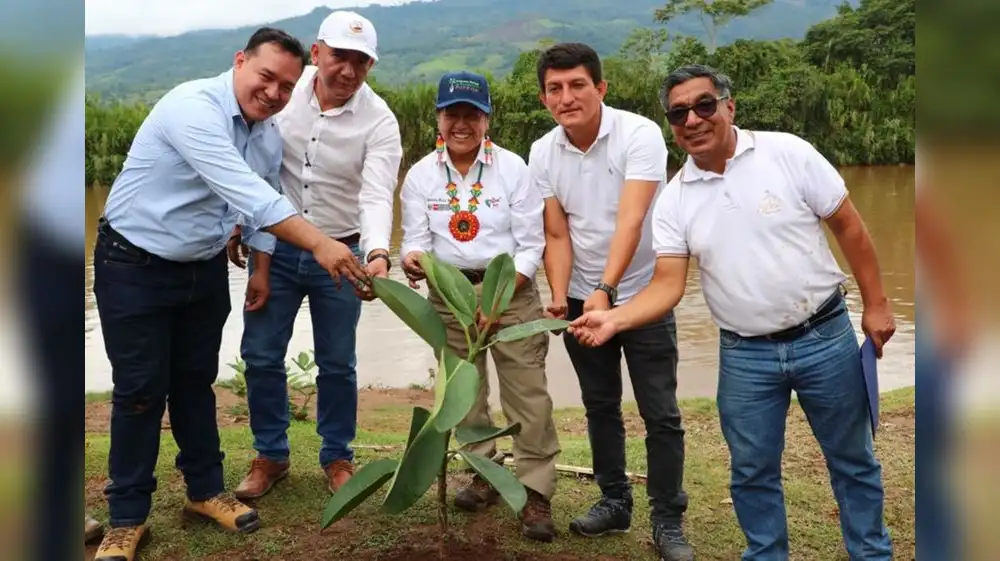 Perú reconoce como “Árbol Patrimonial” a especie de Ficus