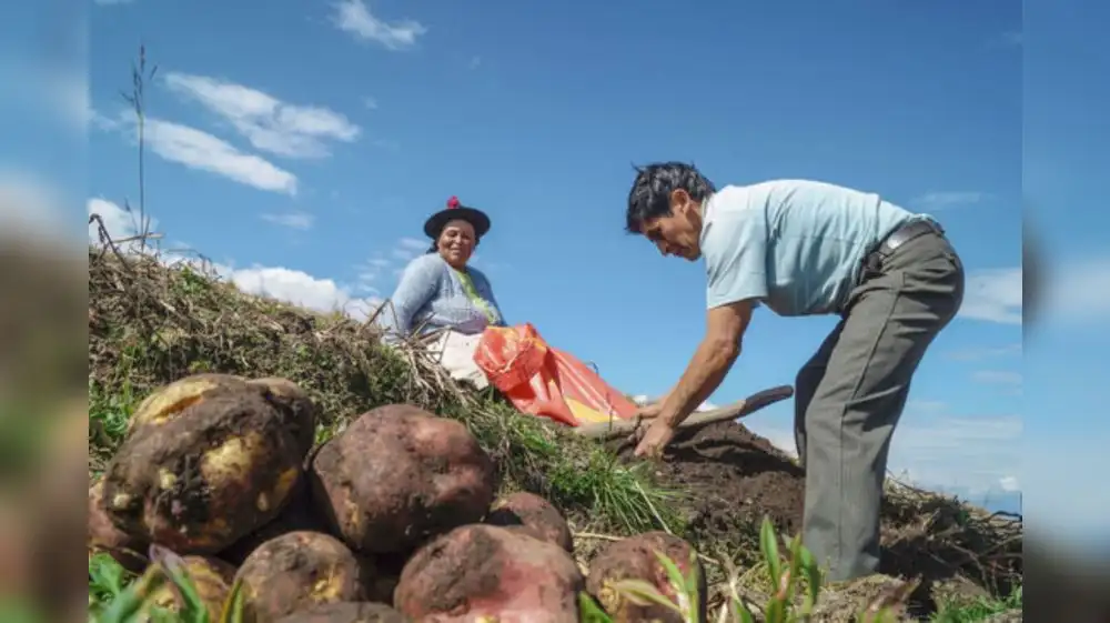 APEC 2024: Trujillo recibirá a 21 ministros de agricultura