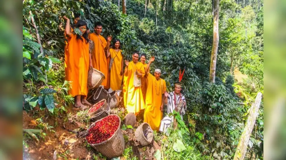 Pequeños productores recibirán tierras para reducir deforestación