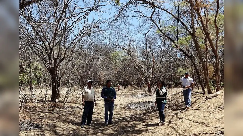 Protectores del Bosque Seco son reconocidos por Serfor
