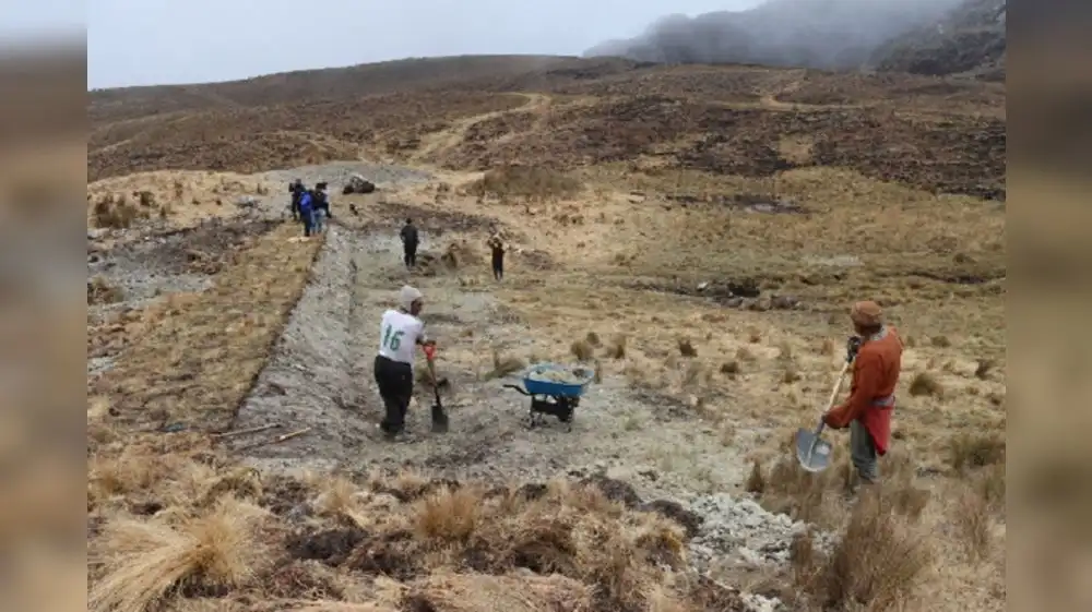 Junín: Tecnología ancestral para recuperar ecosistemas degradados