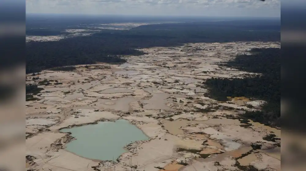 Cambio climático agrava desaparición de ecosistemas