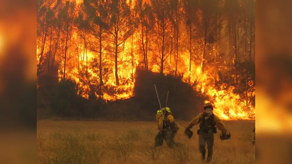 Australia: Olas de calor aumentan riesgo de incendios forestales