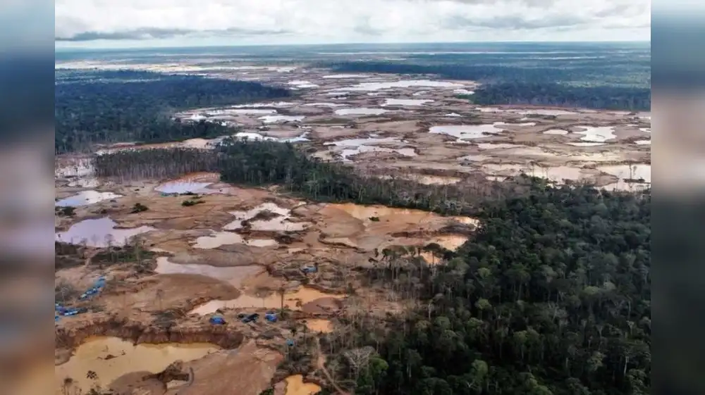 Congreso ordena promulgar ley que permite la deforestación ilegal