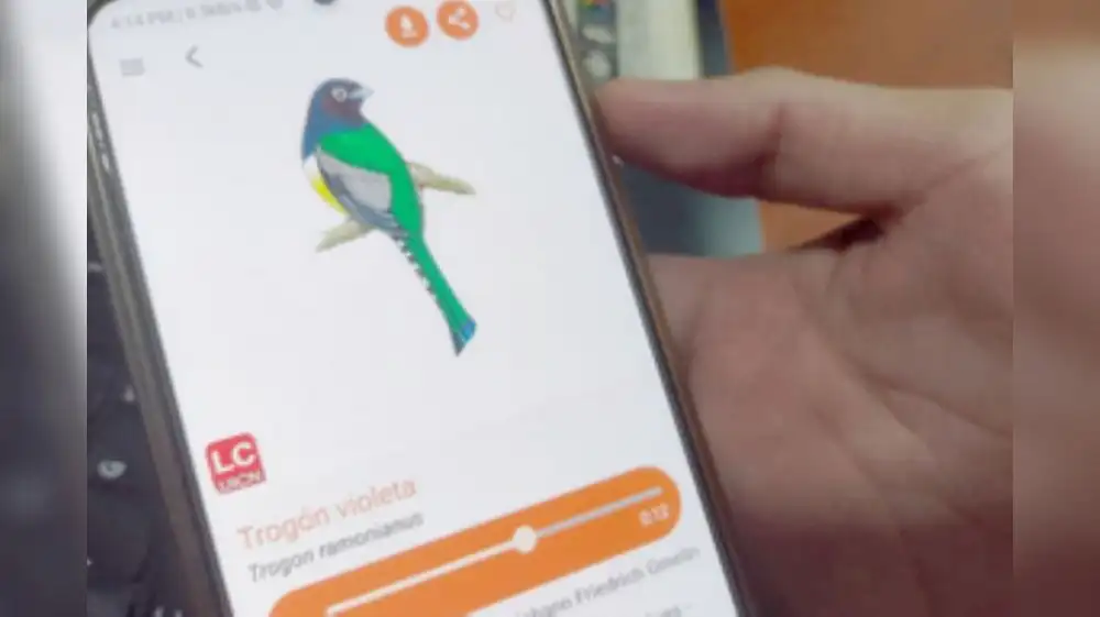 App móvil permite conocer más de 500 especies de flora y fauna