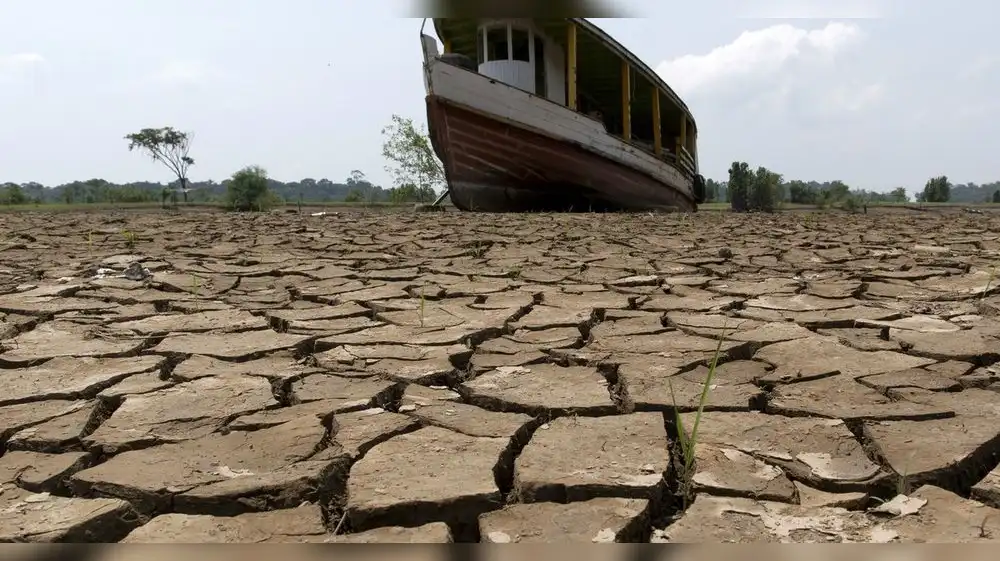 Cambio Climático fue responsable de sequía en la Amazonía