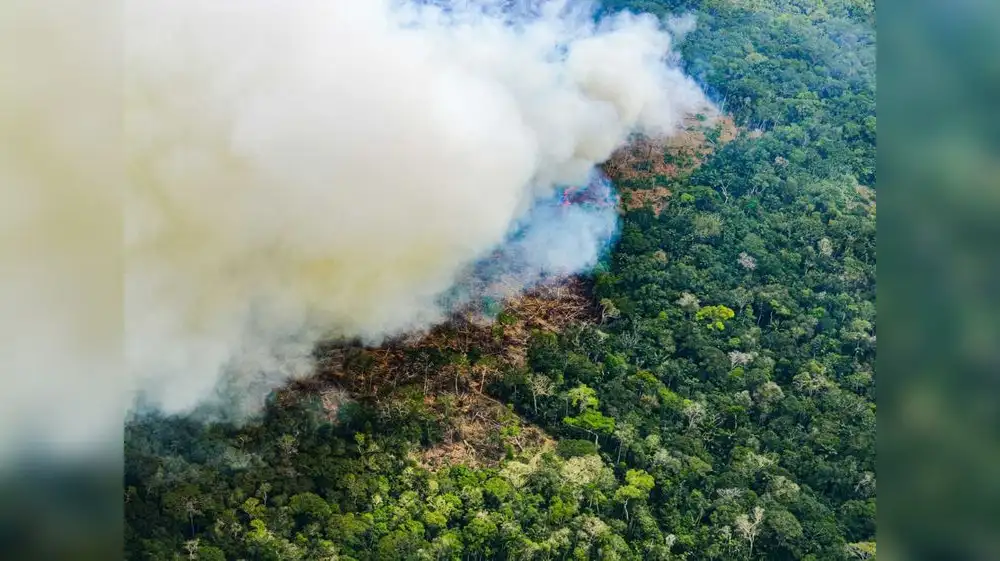 Amazonía podría colapsar en 2050