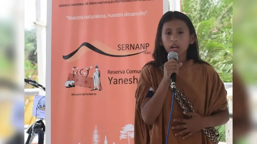 Perú busca dinamizar mercado forestal en Junín y Pasco