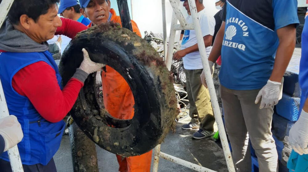 Pescadores y buzos recolectan casi 2 toneladas de residuos