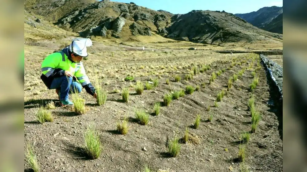 Ejecutan S/ 169 millones en remediación ambiental minera
