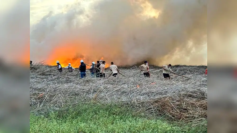 Áncash: incendio forestal afecta humedales de Villa María