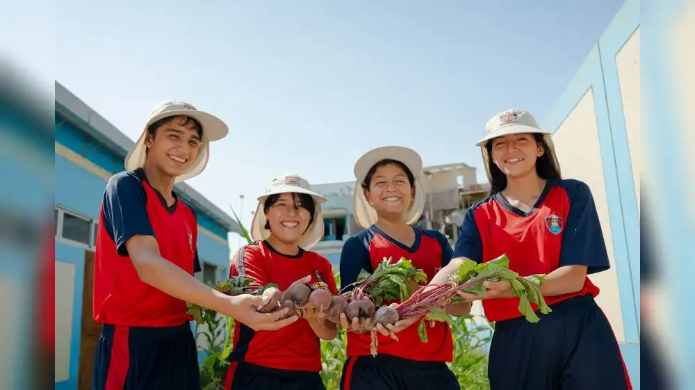 Estudiantes aprenden de agricultura con programa Huertos Escolares